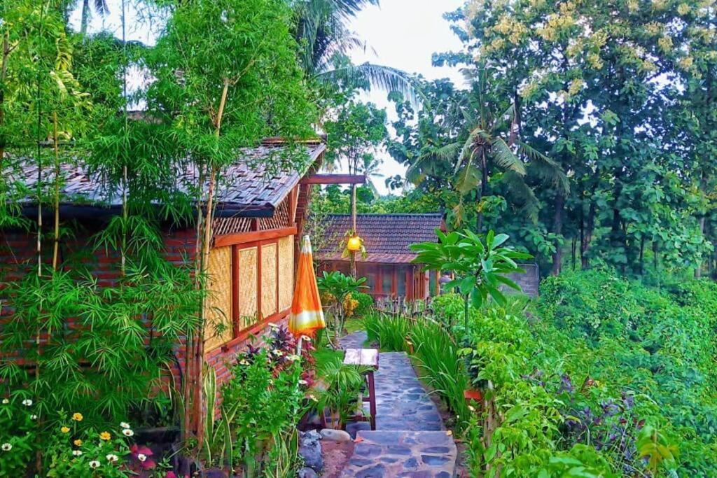 Eco Hut By Valley And 7 Waterfalls Ambengan Экстерьер фото
